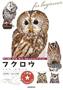 フクロウ: 飼える種類、食べ物、接し方、仲良くなる方法がすぐわかる! (小動物☆飼い方上手になれる!)(中古品)