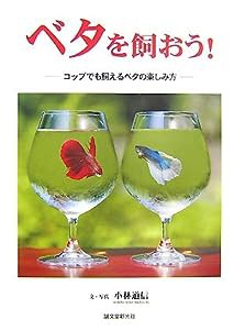 ベタを飼おう!—コップでも飼えるベタの楽しみ方(中古品)