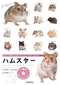 ハムスター: 毎日のお世話から幸せに育てるコツまでよくわかる! (小動物★飼い方上手になれる!)(中古品)