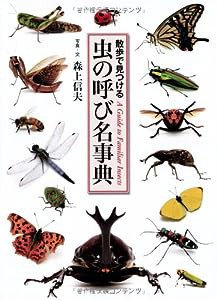 虫の呼び名事典 (散歩で見つける)(中古品)