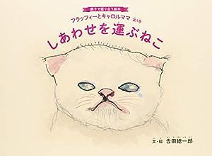 しあわせを運ぶねこ (親子で語り合う絵本 フラッフィーとキャロルママ)(中古品)