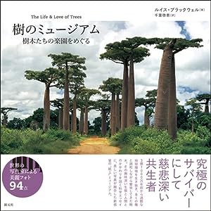 樹のミュージアム: 樹木たちの楽園をめぐる(中古品)