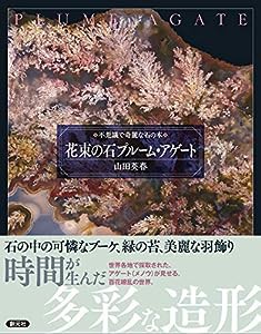 花束の石 プルーム・アゲート (不思議で奇麗な石の本)(中古品)