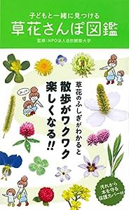 子どもと一緒に見つける 草花さんぽ図鑑(中古品)