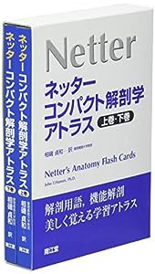 ネッターコンパクト解剖学アトラス(中古品)