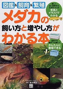 メダカの飼い方と増やし方がわかる本(中古品)