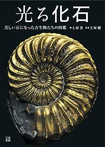 光る化石 ~美しい石になった古生物たちの図鑑(中古品)