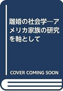 離婚の社会学—アメリカ家族の研究を軸として(中古品)