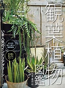 観葉植物図鑑: いま人気のインテリアグリーン(中古品)