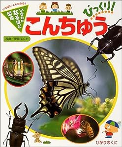 こんちゅうびっくり! (いきものなるほど図鑑)(中古品)