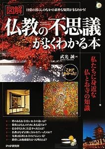 [図解]仏教の不思議がよくわかる本(中古品)