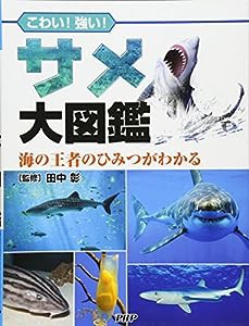 こわい! 強い! サメ大図鑑 海の王者のひみつがわかる(中古品)