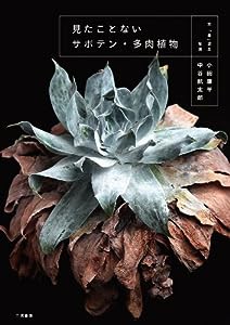 見たことない サボテン・多肉植物 "Remarkable cactus and succulent" by Kohei Oda(中古品)