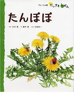 たんぽぽ (フレーベル館だいすきしぜん—しょくぶつ)(中古品)