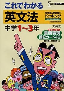 これでわかる英文法―参考書+問題集 (シグマベスト)(中古品)