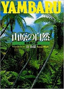 山原の自然―亜熱帯の森(中古品)