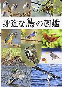 身近な鳥の図鑑(中古品)