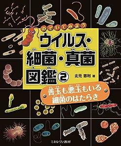 善玉も悪玉もいる 細菌のはたらき(中古品)