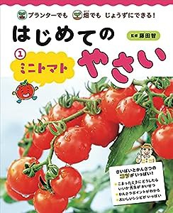 はじめてのやさい ミニトマト: 畑でもプランターでもじょうずにできる!(中古品)