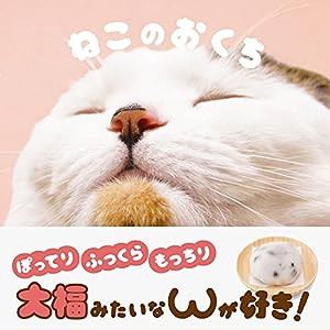 ねこのおくち(中古品)