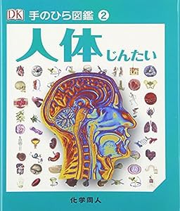 人体 (手のひら図鑑)(中古品)