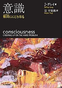 意識: 難問ににじり寄る(中古品)