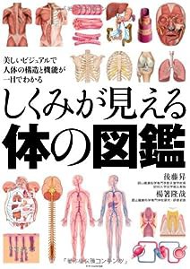 しくみが見える体の図鑑(中古品)