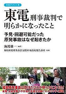 東電刑事裁判で明らかになったこと (彩流社ブックレット)(中古品)