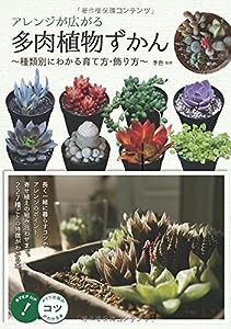 アレンジが広がる 多肉植物ずかん ~種類別にわかる育て方・飾り方~ (コツがわかる本!)(中古品)