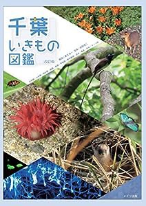 千葉いきもの図鑑 改訂版(中古品)