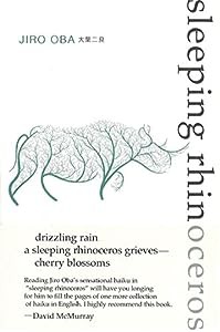 sleeping rhinoceros(中古品)