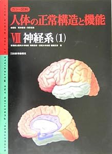 カラー図解人体の正常構造と機能 8(中古品)