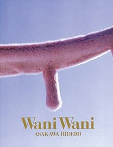 Wani Wani ASAKAWA HIDERO(中古品)