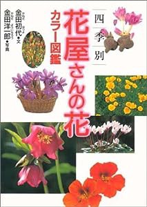 四季別 花屋さんの花カラー図鑑(中古品)