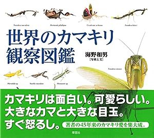 世界のカマキリ観察図鑑(中古品)