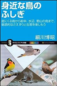 身近な鳥のふしぎ (サイエンス・アイ新書)(中古品)