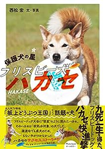 保護犬の星 フリスビー犬ハカセ(中古品)