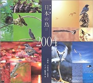 写真集 日本の鳥〈2004〉(中古品)