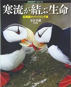 寒流が結ぶ生命―北海道からベーリング海 寺沢孝毅写真集 (BIRDERスペシャル)(中古品)