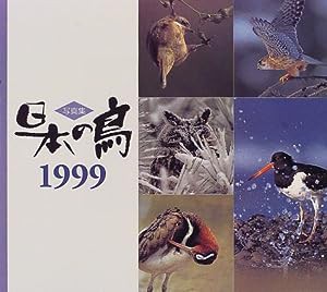 写真集 日本の鳥〈1999〉(中古品)