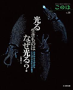 光る生きものはなぜ光る？?ホタル・クラゲからミミズ・クモヒトデまで (生きもの好きの自然ガイド このは No.10)(中古品)