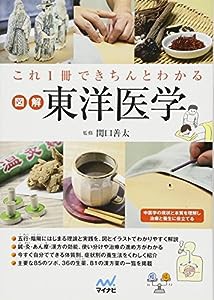 これ1冊できちんとわかる図解東洋医学(中古品)