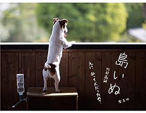 島いぬ え!? 私って犬だったの?(中古品)