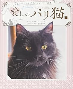 愛しのパリ猫 - おしゃれでかわいいパリの猫カフェで癒される! -(中古品)