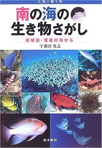 南の海の生き物さがし―琉球弧・奄美の海から (太陽の贈り物)(中古品)