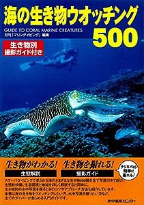 海の生き物ウオッチング500(中古品)