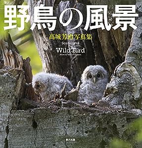 野鳥の風景: ??城芳治写真集(中古品)