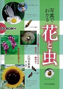 写真でわかる 花と虫 CD-ROM付(中古品)
