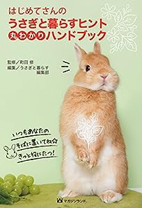 はじめてさんのうさぎと暮らすヒント丸わかりハンドブック(中古品)