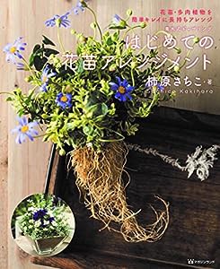 はじめての花苗アレンジメント(中古品)